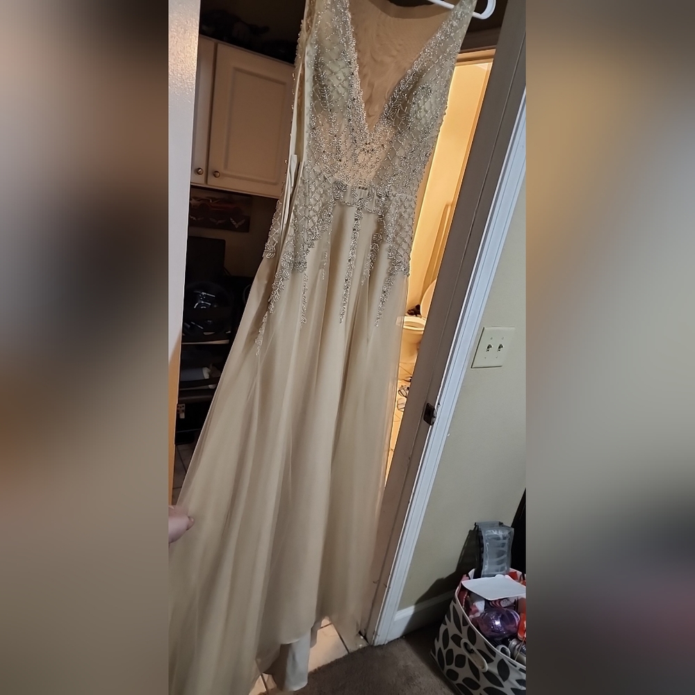 Wedding/Ball gown
